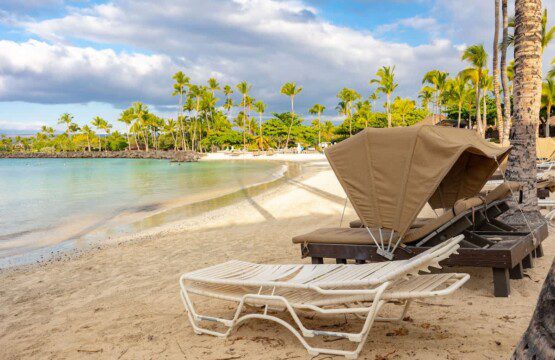 38157dca 6817 49 QGiNY.jpg