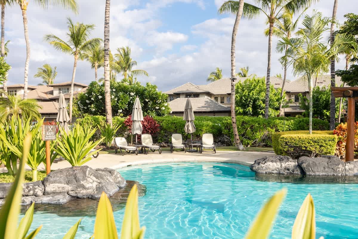 49a241d3 64e6 41 al9jP.jpg