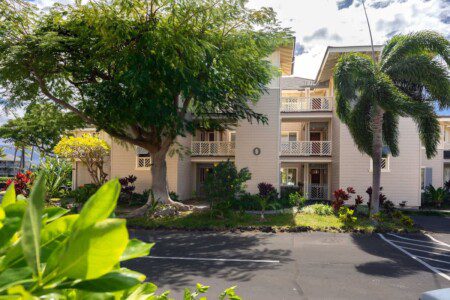 4d8e68c6 b79c 4e dqV29.jpg