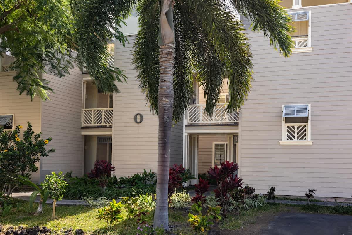 6369e6cc 4d4f 49 nfH3U.jpg