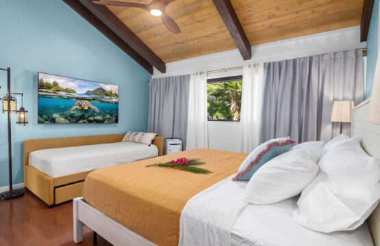 6752423426496f00118dfe46 1305255133775365880 2043273728.jpg