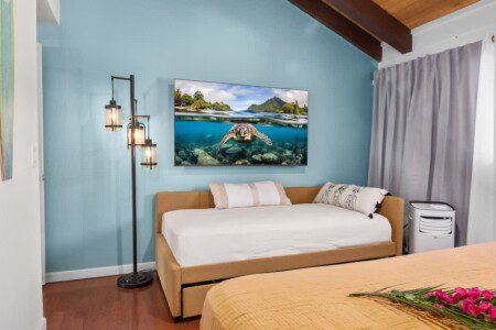 6752423426496f00118dfe46 1305255133775365880 2043273765.jpg