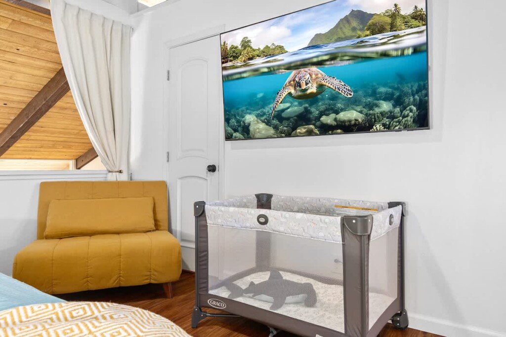 6752423426496f00118dfe46 1305255133775365880 2043273825.jpg