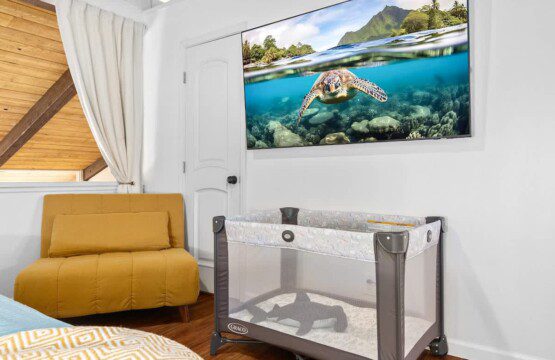 6752423426496f00118dfe46 1305255133775365880 2043273825.jpg