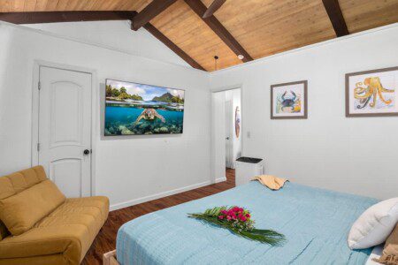 6752423426496f00118dfe46 1305255133775365880 2043273867.jpg