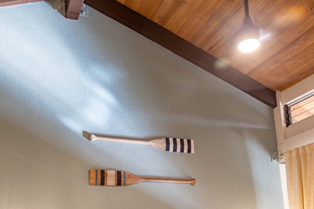 6752423426496f00118dfe46 1305255133775365880 2043273994.jpg