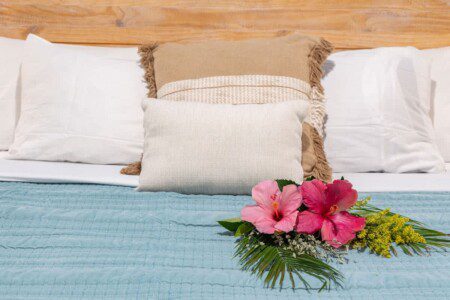 6752423426496f00118dfe46 1305255133775365880 2043274021.jpg