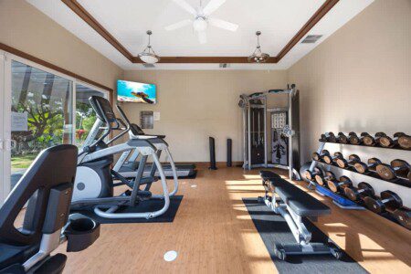 8e17fa49 ae32 41 xyeF .jpg