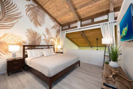 ec3a24b6 acd7 44 x1xV6.jpg