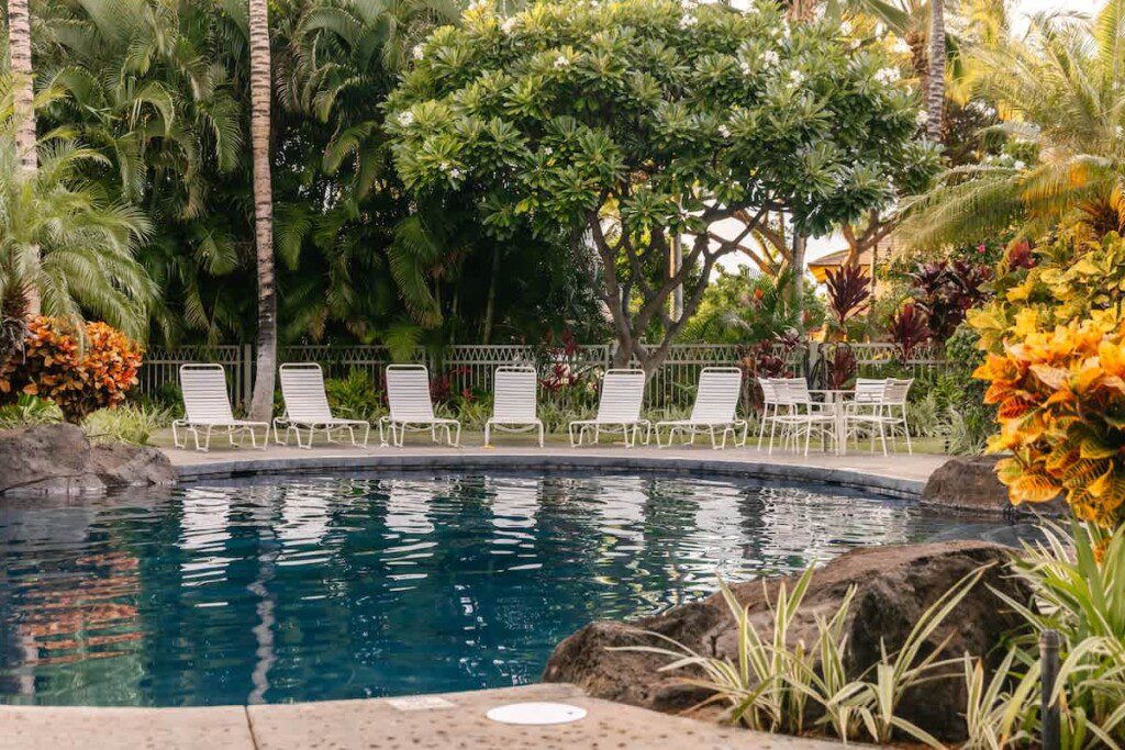 33ed86c9 5e55 4f Z7jAS.jpg