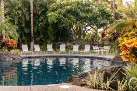 33ed86c9 5e55 4f Z7jAS.jpg