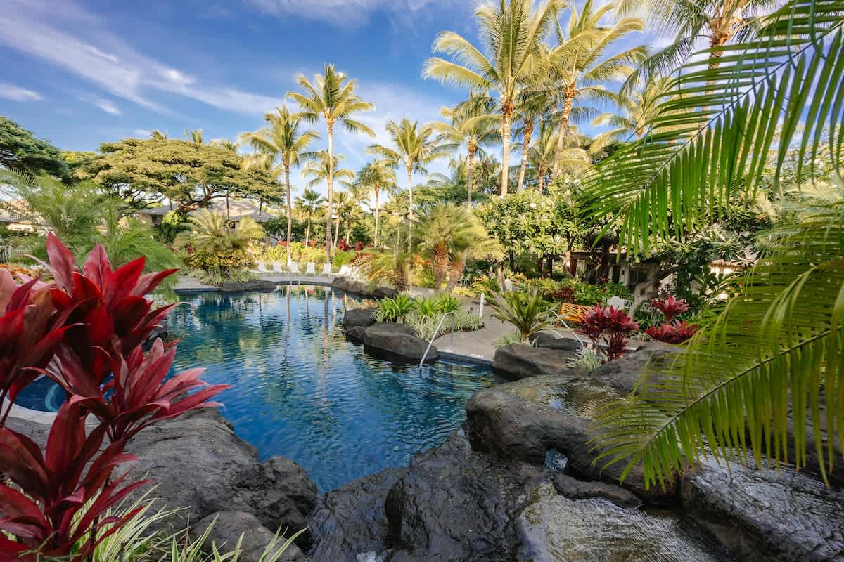 c4d296a5 929f 47 Vsv w.jpg