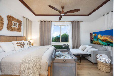 d5acda6c 17fd 43 o8EQB.jpg