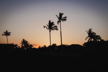 53f03ea4 e049 46 XfcFO.jpg